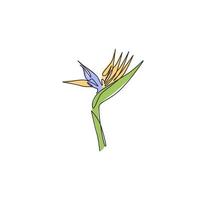 desenho de linha contínua única de strelitzia de beleza fresca para impressão de pôster de arte de decoração de parede em casa. flor de ave do paraíso decorativa para cartão de convite. ilustração em vetor moderno desenho de uma linha