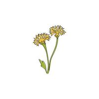 um desenho de linha contínuo beleza fresco tagetes erecta para decoração de parede home art impressão de pôster. conceito de flor decorativa de calêndula para cartão de convite. ilustração em vetor desenho desenho de linha única na moda