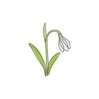 um desenho de linha contínuo de galanto fresco de beleza para impressão de pôster de arte de decoração de parede em casa. conceito de flor snowdrop decorativo imprimível para cartão de casamento. ilustração em vetor desenho desenho de linha única