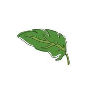 desenho de linha contínua única de planta de folha tropical. conceito de planta de casa decorativa de pôster para impressão para ornamento de papel de parede de decoração de parede em casa. ilustração gráfica de vetor moderno desenho de uma linha