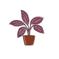 um único desenho de linha bonito planta aglaonema de folhas tropicais em vaso. conceito de planta de casa decorativa imprimível para ornamento de decoração de parede de casa. ilustração gráfica do vetor moderno desenho linha contínua