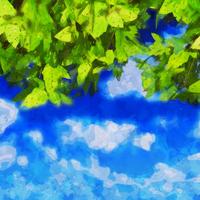 Aquarela folhas no céu azul vetor
