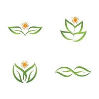 logotipos da ecologia de folhas verdes vetor