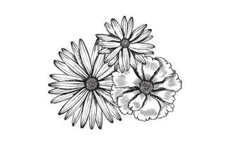 padrão de flores desenhados à mão. sem costura de fundo vector. vetor