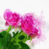 Rosas em aquarela vetor