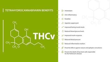 benefícios da tetrahidrocanabivarina, pôster verde e branco com benefícios da tetrahidrocanabivarina com ícones e fórmula química do canabinol vetor