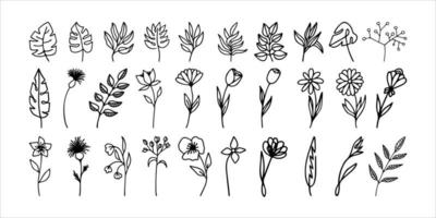 mão desenhado ervas, floral clipart coleção. 1 linha rabisco vetor conjunto