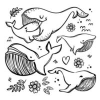 baleias dentro esboço estilo monocromático vetor ilustração conjunto