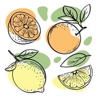 laranja limão delicioso frutas esboço vetor ilustração conjunto