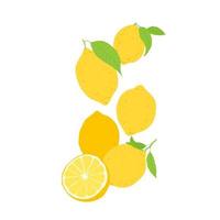 desatado padronizar com limão frutas e folhas. fruta recorrente fundo. vetor ilustração para tecido ou papel de parede