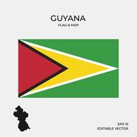 mapa e bandeira da Guiana vetor