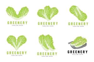 design de logotipo de repolho chinês vetor de plantas verdes ingredientes de alimentos kimchi