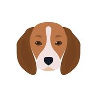 linda cabeça barbudo cão beagle. ilustração vetorial. vetor