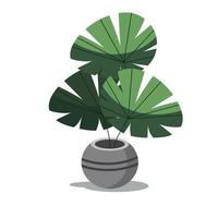 monstera deliciosa folha vetor Projeto