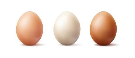 3d realista vetor ícone ilustração. luz marrom, Castanho e branco orgânico ovo. isolado em branco fundo.