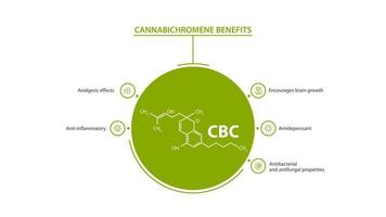 cartaz informativo branco e verde dos benefícios do canabicromeno com benefícios com ícones e fórmula química do canabicromeno vetor