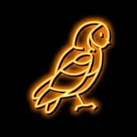 coruja pássaro néon brilho ícone ilustração vetor