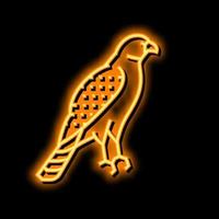 Falcão pássaro néon brilho ícone ilustração vetor