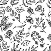 botânica line art seamless pattern vetor