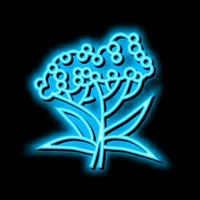 sabugueiro árvore ramo néon brilho ícone ilustração vetor