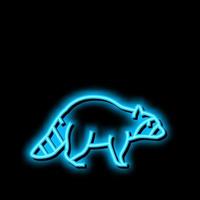 guaxinim selvagem animal néon brilho ícone ilustração vetor