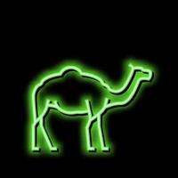 camelo animal néon brilho ícone ilustração vetor