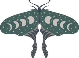 celestial borboleta vetor ilustração. místico Luna traça com lua fases. Magia floral inseto em branco fundo. Projeto para boho poster, cartão, madical t camisa imprimir, marcação, adesivo.