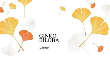 realista detalhado 3d ginkgo biloba folhas bandeira. vetor