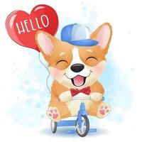 pequeno corgi fofo andando de bicicleta vetor