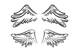 esboce asas de anjo. asa de pena de anjo. ilustração vetorial. vetor