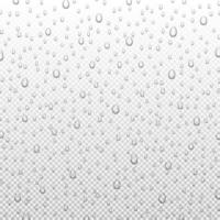 gotas de chuva de água ou banho de vapor isolado. gotículas puras realistas condensadas, ilustração vetorial vetor