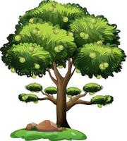 árvore frutífera de goiaba em estilo cartoon, isolada no fundo branco vetor