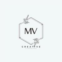 mv beleza vetor inicial logotipo arte, caligrafia logotipo do inicial assinatura, casamento, moda, joalheria, butique, floral e botânico com criativo modelo para qualquer companhia ou negócios.