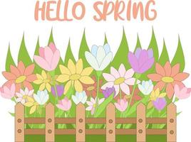 vetor ilustração Primavera flores dentro a frente jardim