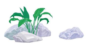 pedras e plantas dentro desenho animado estilo em uma branco fundo. vetor clipart