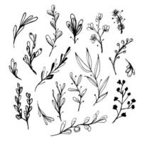 vetor conjunto do rabisco desenhado à mão flores coleção do moderno linha ilustrações.