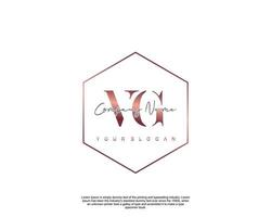 inicial carta vg feminino logotipo beleza monograma e elegante logotipo projeto, caligrafia logotipo do inicial assinatura, casamento, moda, floral e botânico com criativo modelo vetor