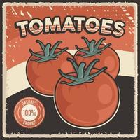 poster vintage retrô de tomates vegetais vetor