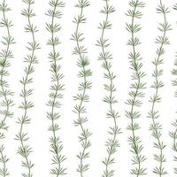 erva-chifre é uma verde algas. a embaixo da agua mundo do a oceano. aquário. uma marinho plantar . vetor ilustração isolado em uma branco fundo.