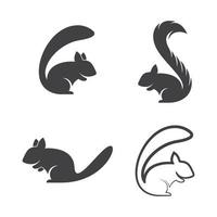 conjunto de ilustração de imagens de logotipo de esquilo vetor