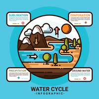 Infográfico de ciclo da água vetor