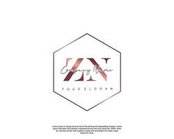 inicial carta zn feminino logotipo beleza monograma e elegante logotipo projeto, caligrafia logotipo do inicial assinatura, casamento, moda, floral e botânico com criativo modelo vetor