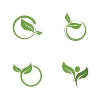 logotipos da ecologia de folhas verdes vetor