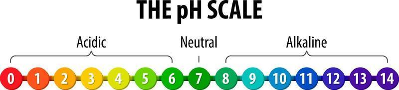 o diagrama de escala de ph em fundo branco vetor