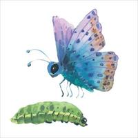 aguarela vetor azul borboleta e lagarta. mão desenhado pintura inseto ilustração.