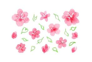 aguarela imagens do sakura florescer. abstrato mão pintado Rosa flores, totalmente aberto e botões, com folhas silhuetas. coleção do aquarelle feminino primavera Projeto elementos, isolado em branco vetor