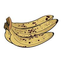 mão desenhando banana ilustração vetor