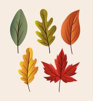 conjunto de ícones de folhas de outono vetor