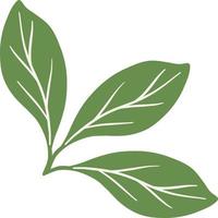 verde botânico folhas ilustração vetor