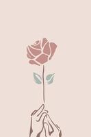 mãos segurando uma rosa vermelha em fundo rosa vetor